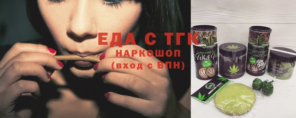 индика Тобольск