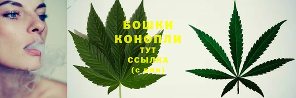 spice Волосово